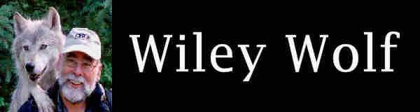 Wiley Wolf